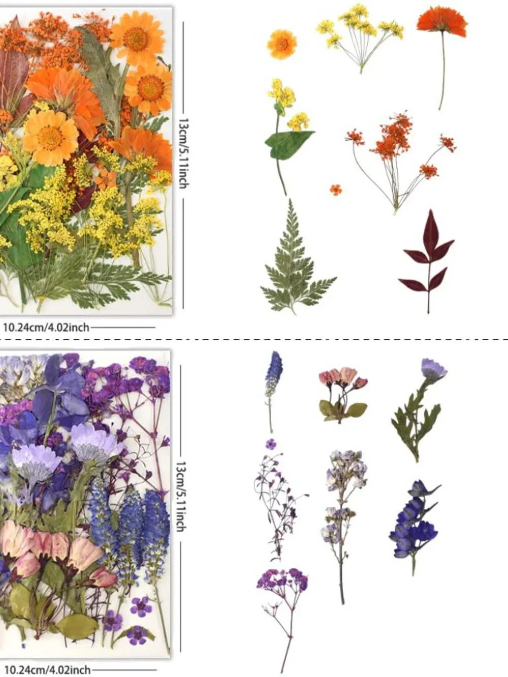 80Pcs Pressed Flowers, Dried Flowers Natural Pressed Flowers Bulk for Resin Mold
